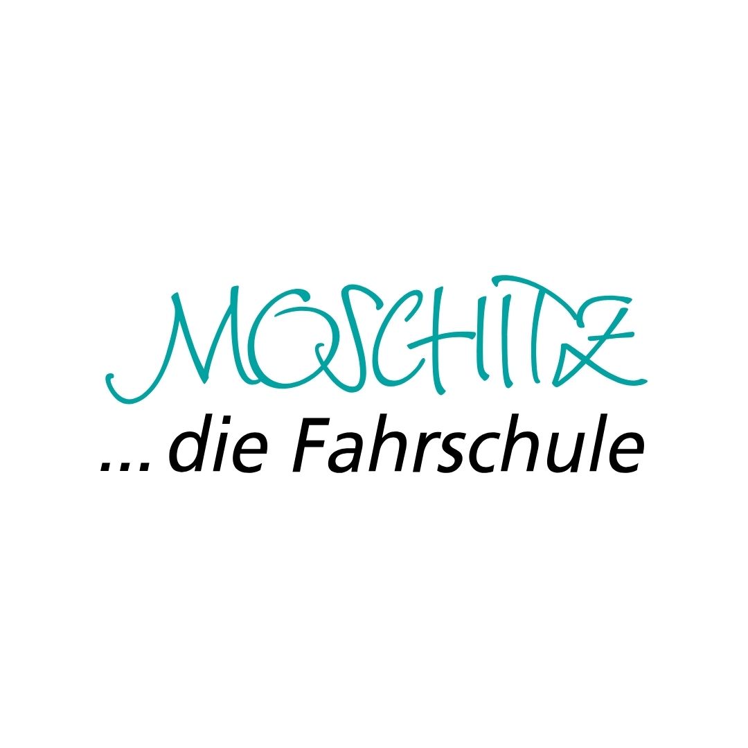 moschitz_die_fahrschule